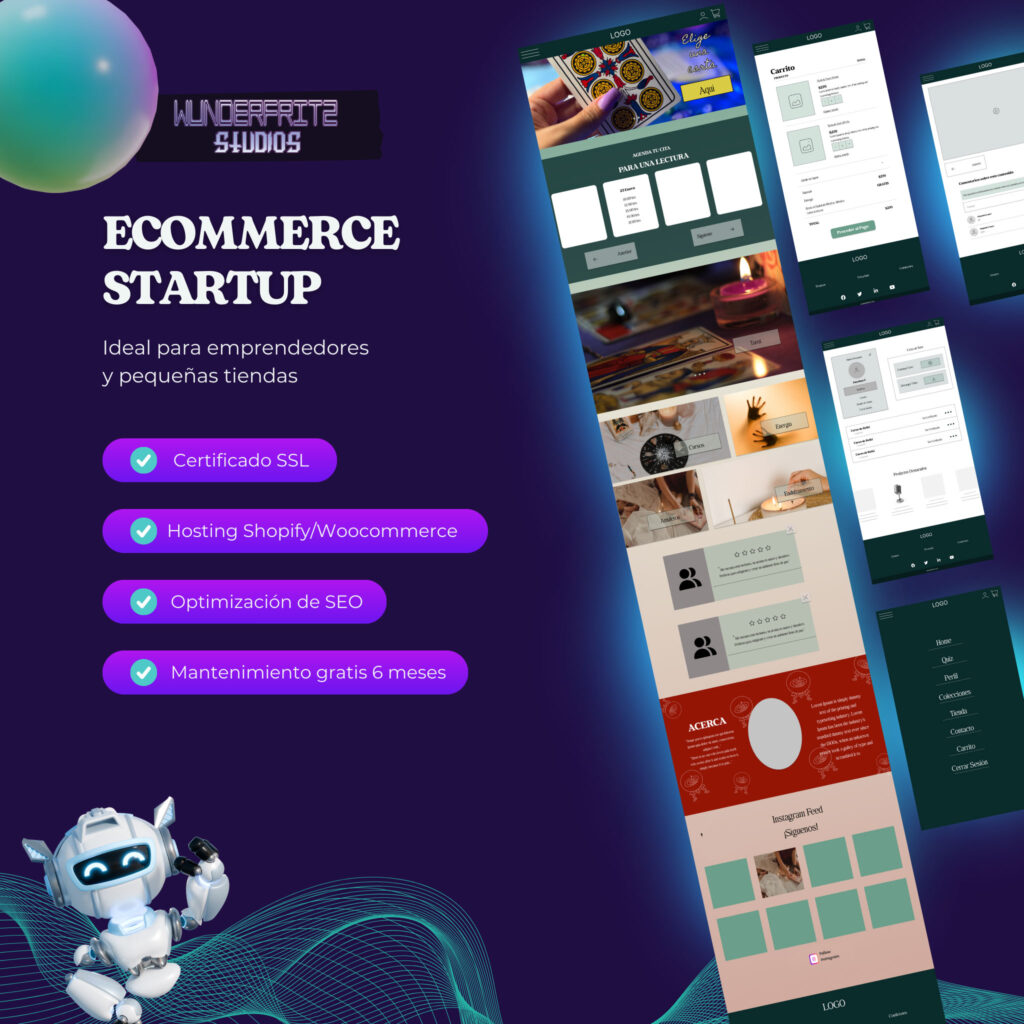 Ecommerce Startup